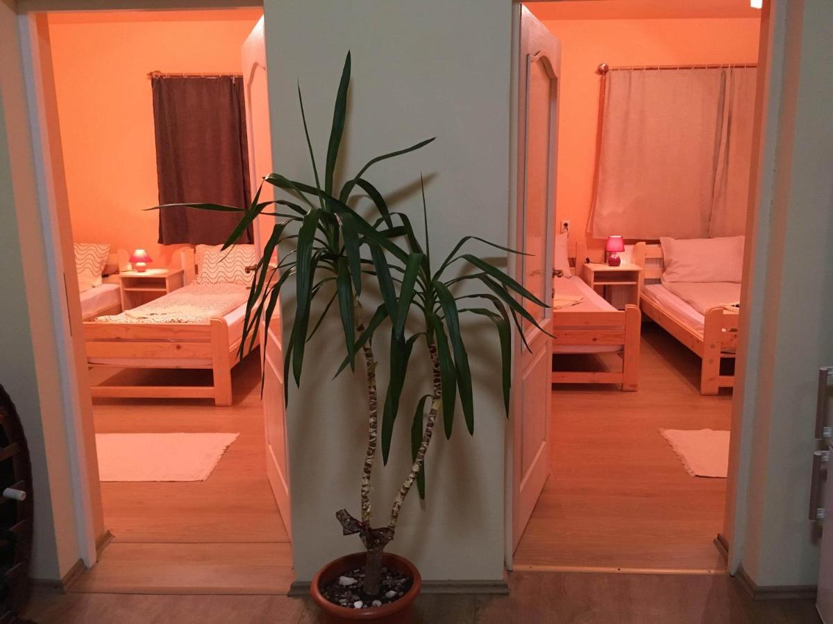 Appartement Bicsak Apartman à Joseni Extérieur photo